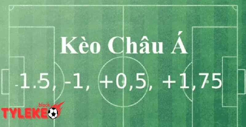 Trang chủ Tylekeo | Tỷ lệ kèo Kèo châu Á: Lựa chọn phổ biến nhất