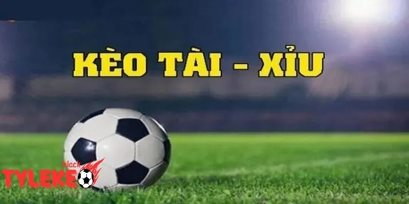 Trang chủ Tylekeo | Tỷ lệ kèo Kèo Tài Xỉu: Dự đoán số lần thắng
